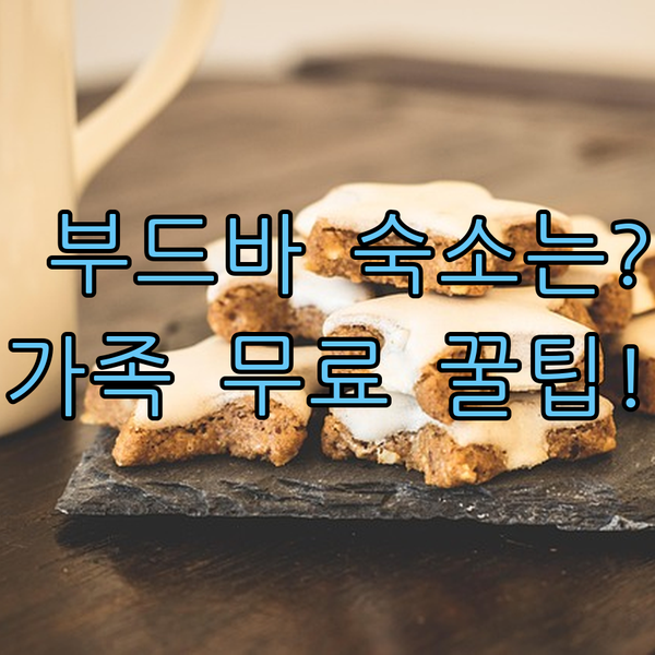 부드바 숙소 추천 가족 여행자를 위한 무료 숙박 위치별 특징 3가지 분석