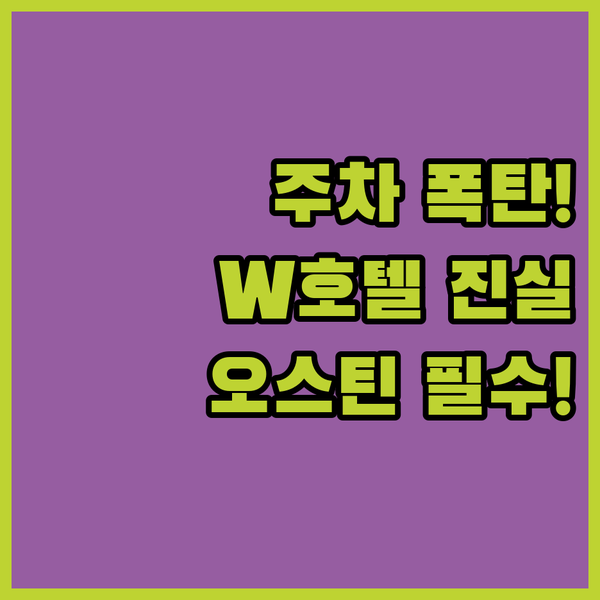 오스틴 여행자 필독 주차비 6만원 대 W 오스틴의 충격적인 정책의 진실