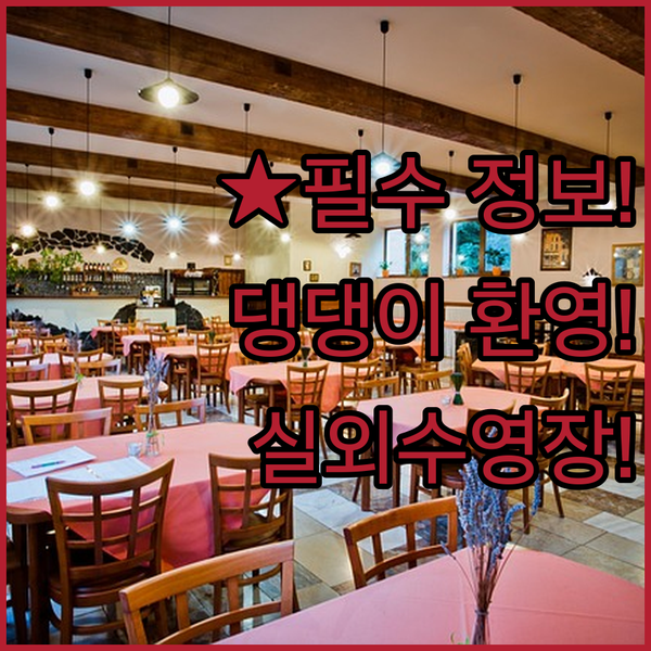 피츠버그(KS) 호텔 숨겨진 보물 찾기 반려동물 동반부터 실외 수영장까지