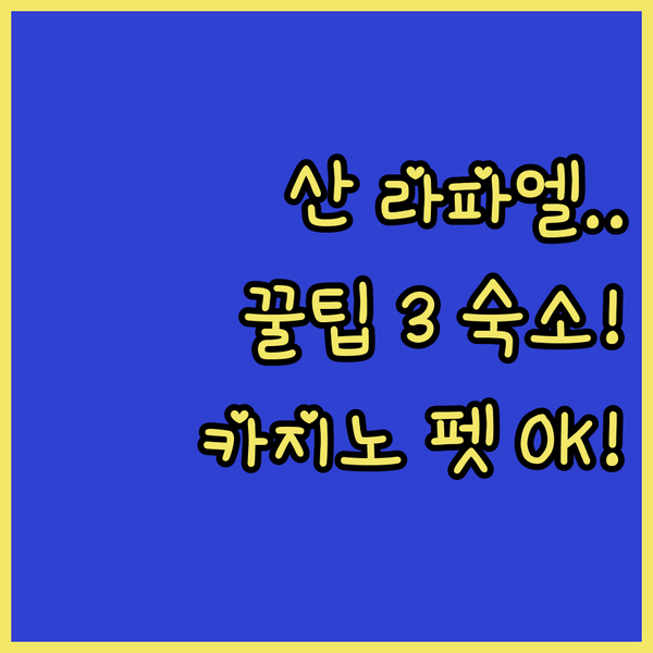 아르헨티나 산 라파엘 숨겨진 숙소 3곳 카지노부터 반려동물 천국까지 완벽 공략