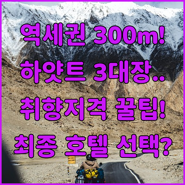 대중교통 300m 하얏트 센트릭 미드타운 3곳 중 당신의 취향에 맞는 최고의 호텔은?