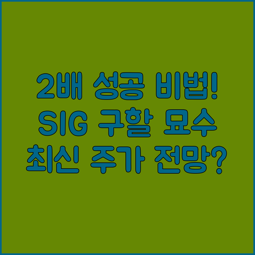 FLSmidth 가치 2배 만든 그 경험! SIG 주가도 살려낼까요