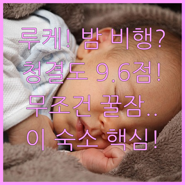 청결도 9.6점 루케 공항 숙소 밤 비행도 꿀잠 보장하는 쾌적함