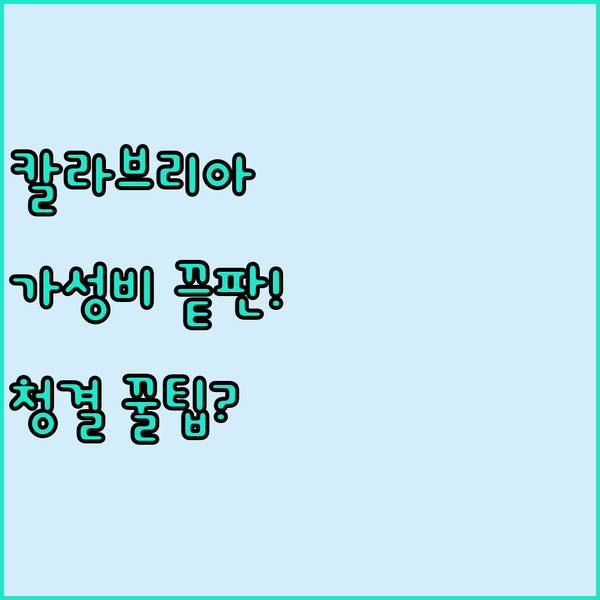 이탈리아 칼라브리아 숙소 청결 가성비 모두 잡은 B&B The King 비밀 리뷰 공개