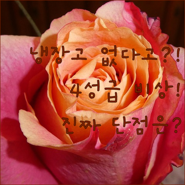 4성급에 냉장고 없는 팔레르모 숙소 3곳 솔직 비교와 실질적인 단점은