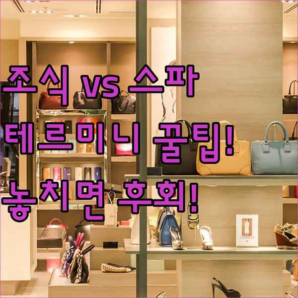 루프탑 조식 vs 힐링 스파 로마 테르미니역 호텔 숙소 고민 끝내는 결정적 분석