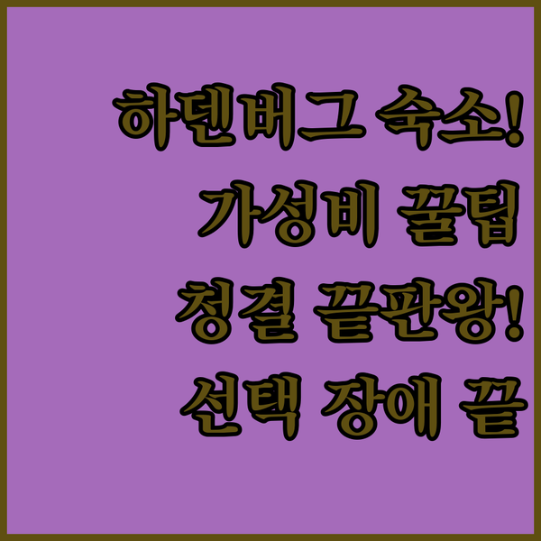 하덴버그 여행 필독 가성비 청결 최고 숙소 3곳 비교 선택 장애 끝!