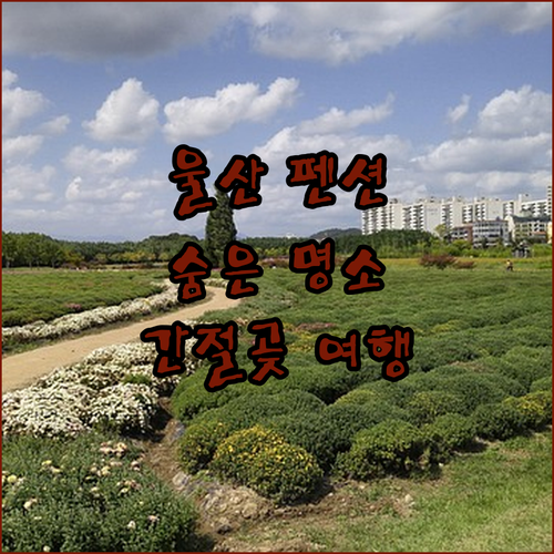 울산 펜션 여행, 에델바이스에서 간절곶까지! 숨겨진 명소들을 찾아서 떠나볼까요?