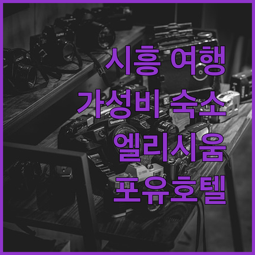 시흥 여행, 후회없는 선택! 가성비 갑 호텔 엘리시움 vs 포유호텔