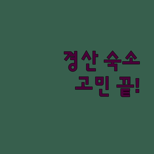 경산 숙소 고민 끝! 현지인이 추천하는 가성비 호텔 TOP 3 전격 비교