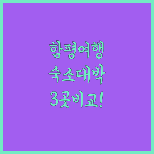 함평 여행 숙소 베스트 3 힐탑 해밀펜션 웅지와나옹이 한눈에 비교