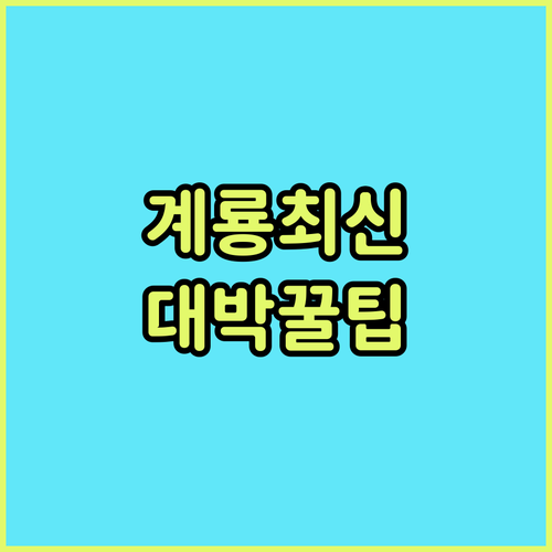 2026년 계룡 최신 숙소 총정리  신축 가성비 호텔 3곳 비교