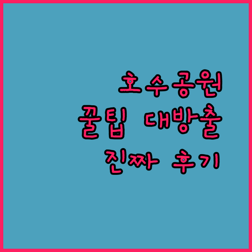 호수공원 인근 가성비부터 프리미엄까지, 진짜 후기로 분석한 최고의 선택